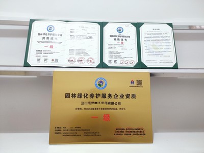 上海市企業(yè)一站式代辦服務(wù) 營業(yè)執(zhí)照、務(wù)代碼證、財(cái)務(wù)咨詢與代理記賬全解析